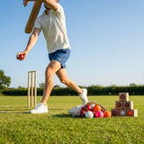 Cricket Ball in cowhide leather for professional matches - product detail