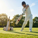 Handcrafted Kashmir Willow Cricket Bat for Beginners - product detail