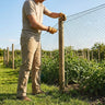 Bird Netting – 48mm Black – UV Stabilised Polypropylene – Outdoor & Indoor Use