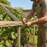 Bird Netting – 28mm Black – Polyethylene – Gardens & Industrial
