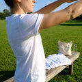 Adults cotton T-shirts in six sizes