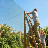 19mm black bird netting made from high-density polyethylene for garden and industrial use