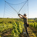 Bird netting with 75mm mesh for seagull control