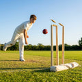 Wooden cricket stumps for competitive cricket with carry bag
