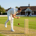 Wooden cricket stumps for competitive cricket with carry bag