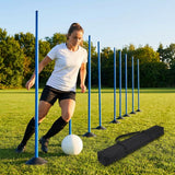 Slalom training poles in vibrant colours for agility training