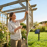 Solar fairy lights illuminating a garden with warm white glow