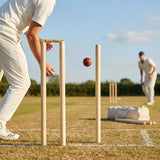 Wooden cricket stumps for competitive cricket with carry bag