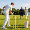 Technique Cricket Ball with raised seam and double flat-sided design