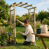 Solar fairy lights illuminating a garden with warm white glow