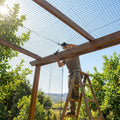 28mm black bird netting for urban and rural protection