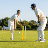 Cricket training stumps in flexible foam with base options