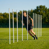 Slalom training poles in vibrant colours for agility training