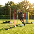 Slalom training poles in vibrant colours for agility training